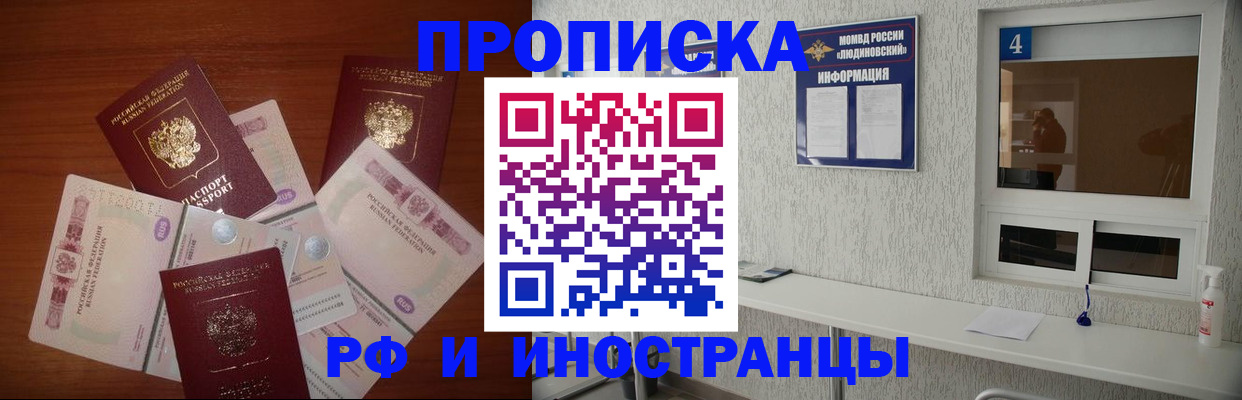 прописка ребенка в Ленинградской области